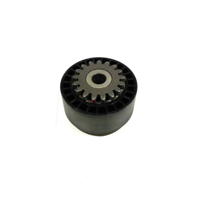 Alternatör Gergi Rulmanı (Renault, Clio, Kangoo) (8201008780, 8200040155, 7700870795) ABA