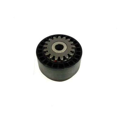Alternatör Gergi Rulmanı (Renault, Clio, Kangoo) (8201008780, 8200040155, 7700870795) ABA