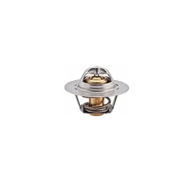 Termostat (Renault, Megane, Laguna) (7700872314, 7701348372) VERNET Termostat (Renault, Megane, Laguna) (7700872314, 7701348372) VERNET