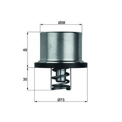 Termostat (BMW, E90, E92) (TE170, 2557000219287, TM19102) MAHLE