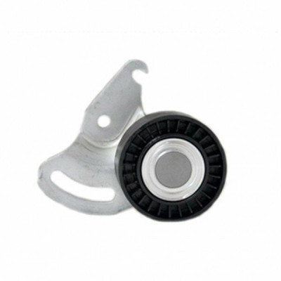 V Kayış Gergi Rulmanı (Renault, Clio, Kangoo) (8200053294, 8200328372) INA