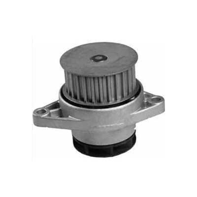 Devirdaim (Volkswagen, Bora, Polo) (036121005P, 036121005F) GRAF Devirdaim (Volkswagen, Bora, Polo) (036121005P, 036121005F) GRAF