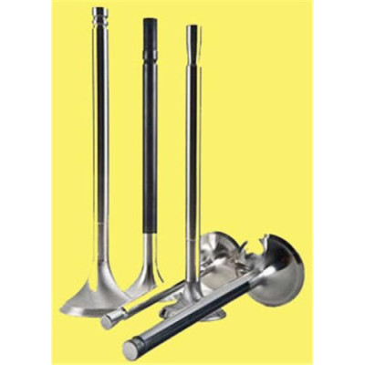 Supap (Renault, R9) (7700690577, 770146213, 7700677702) GÜNEŞ