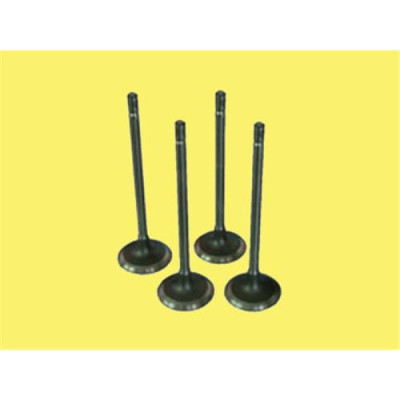 Subap Takımı (Renault, Twingo, Kangoo) (7701469266, 8200243523) GUNES
