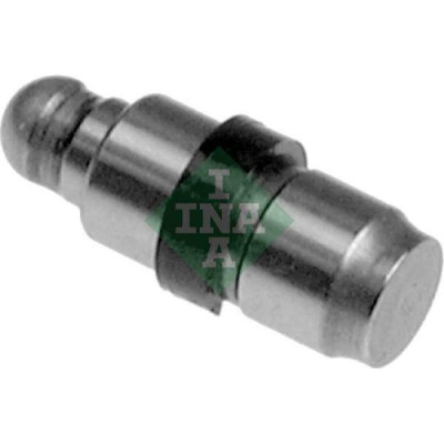Alternator Avare Rulmanı (Peugeot, P307, P206) (532053810) INA